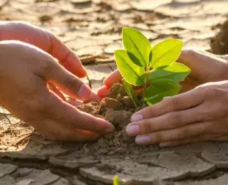 réchauffement climatique 