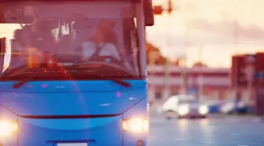 bus