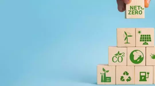 Comment une entreprise peut-elle efficacement contribuer à la neutralité carbone ?