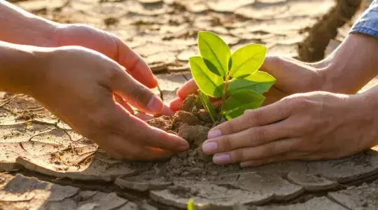 réchauffement climatique 
