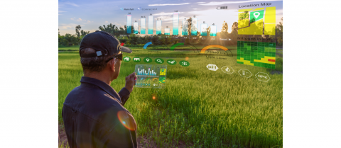 agriculture et IOT