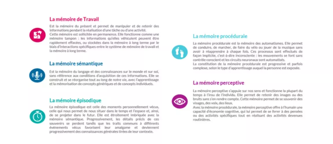 types de mémoire chez l’homme