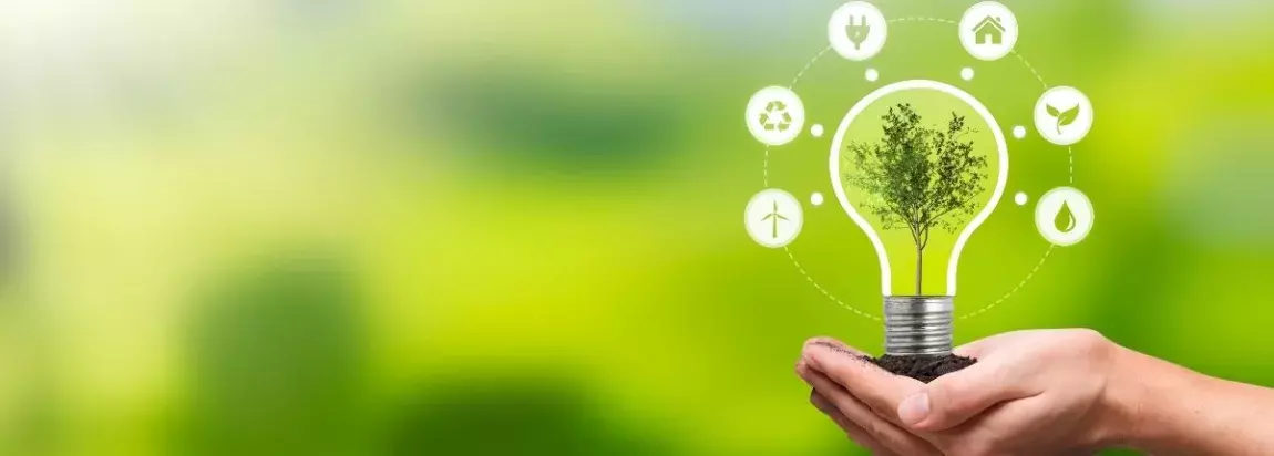 ampoule verte ecologie deep learning