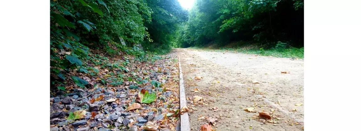 zone piéton sur la petite couronne de Paris