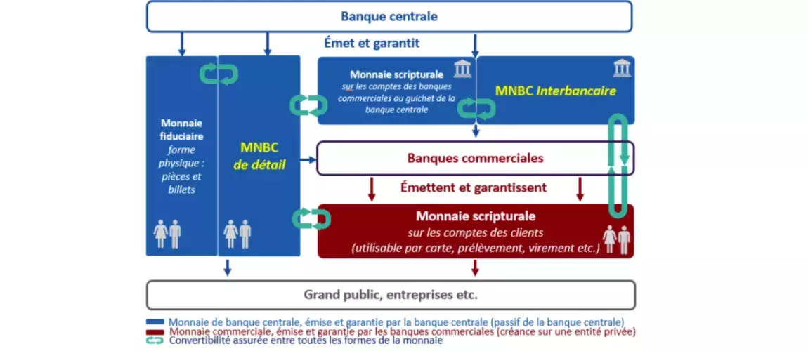 Le système monétaire à deux niveaux : Monnaie de banque centrale vs Monnaie commerciale